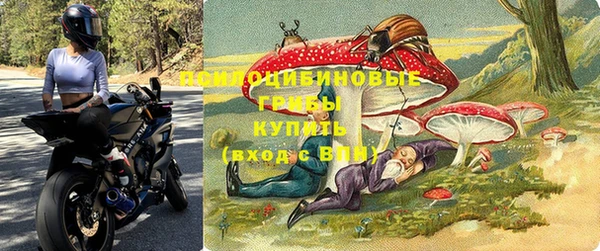 спайс Баксан