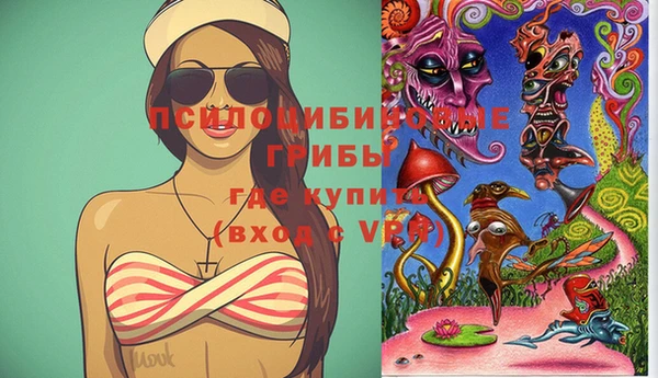 спайс Баксан