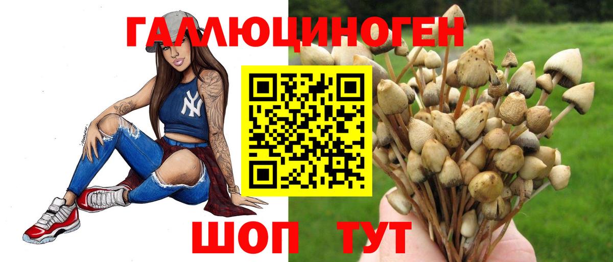 Луховицы  Псилоцибиновые грибы мухоморы  как найти   Вход с VPN 