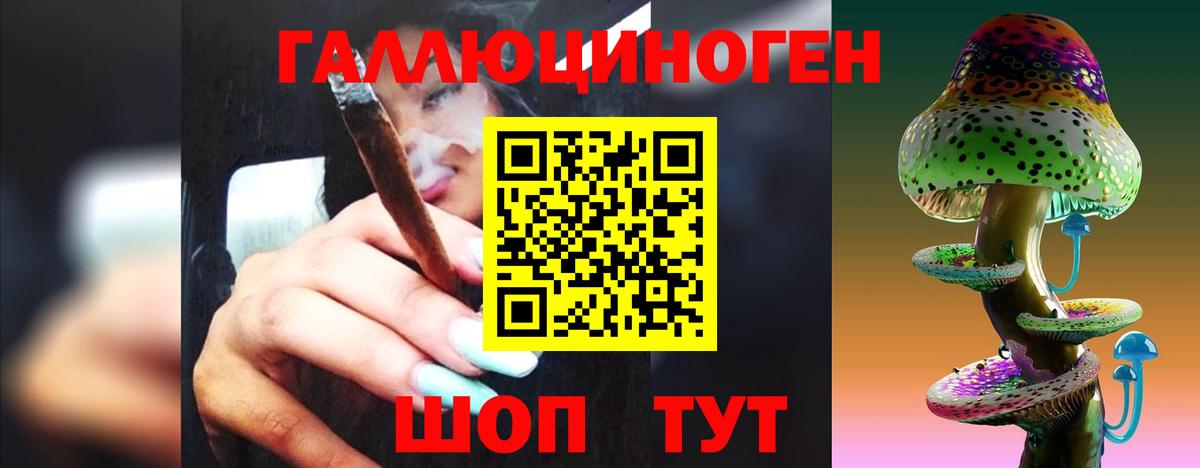 Псилоцибиновые грибы Cubensis Луховицы