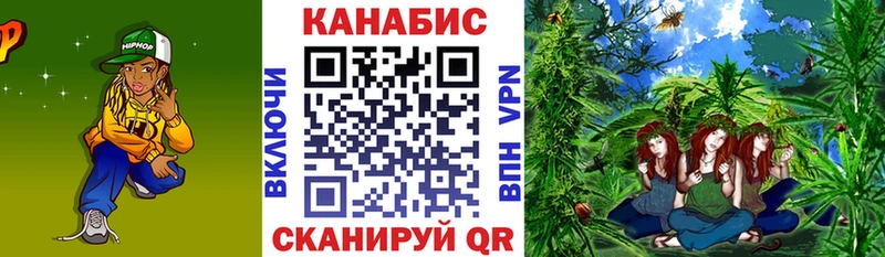 Бошки Шишки SATIVA & INDICA  цены наркотик  Луховицы 